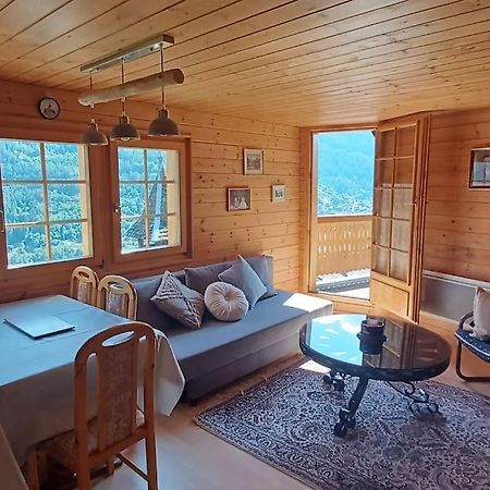 Chalet 3 Pieces De Caractere Mayoux Zewnętrze zdjęcie