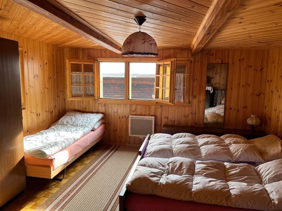 Chalet 3 Pieces De Caractere Mayoux Zewnętrze zdjęcie